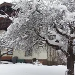 Haus Gastein Appartement *