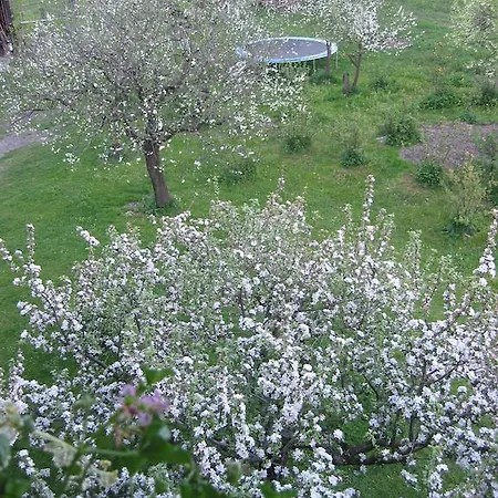 Apartamento Haus Gastein *