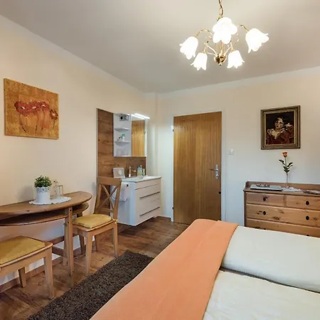 Haus Knapp Nette 4Er Fewo * Dorfgastein