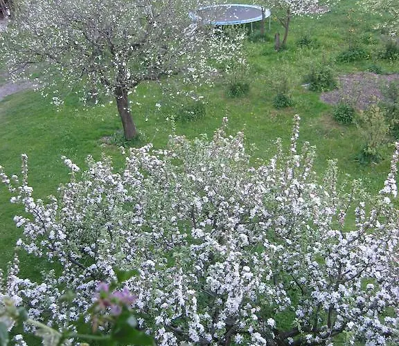 Lägenhet Haus Knapp Fewo Gastein *